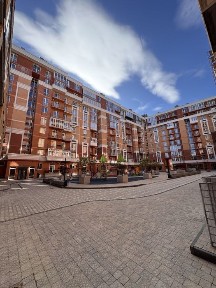 Чернівецька область, Чернівці