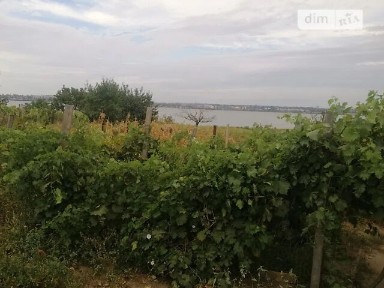 Продаж 1 поверхового будинку з ділянкою на 8 соток, 70 кв. м, 4 кімнати, на вул. Набережна (Мала Корениха) • ID 34238167