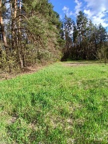 Велика ділянка з стареньким будинком, дом, будинок