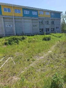 Київська область, Старі Петрівці