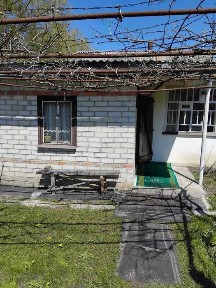 Продам дом в Солоницевке (169223)
