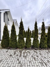 Таунхаус Святопетрівське 102м2 з каміном