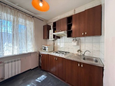 Дніпропетровська область, Дніпро, Центральний