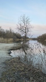 Полтавська область, Потоки