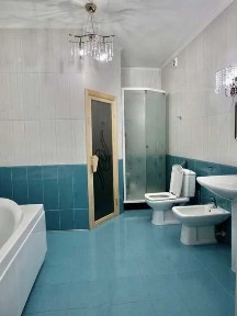 Київська область, Софіївська Борщагівка