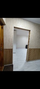 Житомирська область, Житомир, Польова
