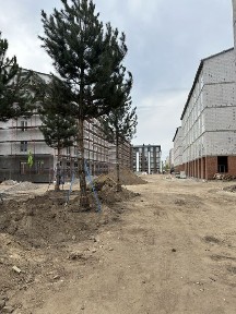 Київська область, Святопетрівське