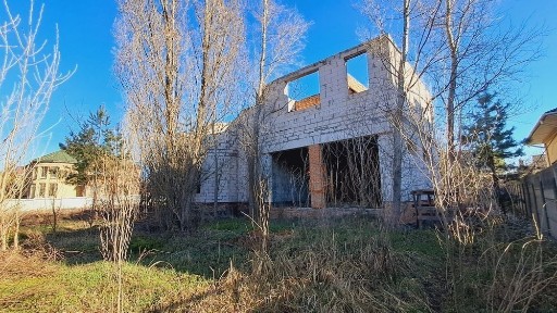 Київська область, Лісне