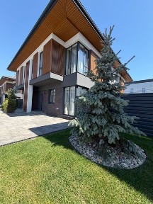 Київська область, Петропавлівська Борщагівка