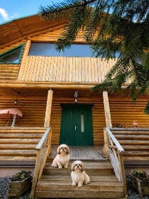 Київська область, Богдани