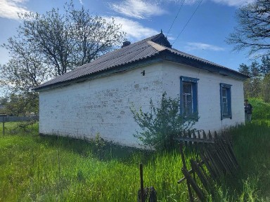 Продам дом в центре Елизаветовки рядом с лесом