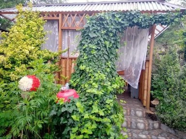 Київська область, Київ, Подільський