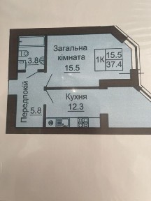 Київська область, Софіївська Борщагівка