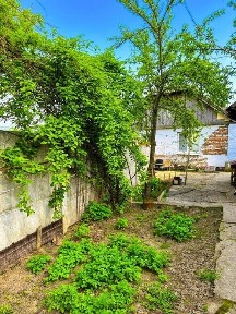 Київська область, Біла Церква