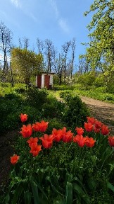Дніпропетровська область, Дніпро, Новокодацький