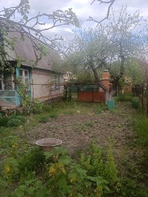 Полтавська область, Полтава