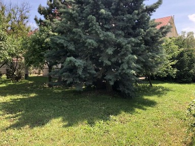 Одеська область, Одеса, Київський