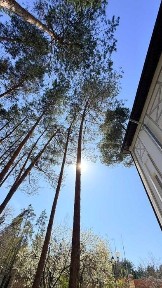 Київська область, Козин