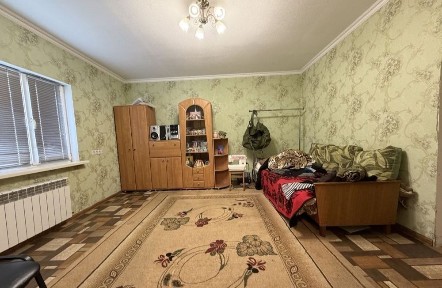 Київська область, Бориспіль