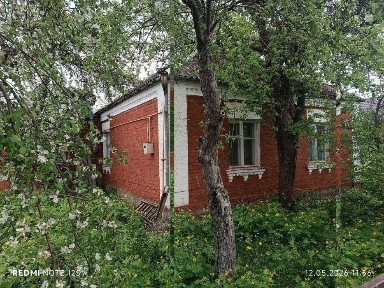 Київська область, Ставище