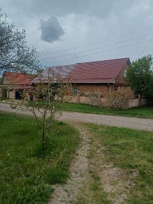 Дніпропетровська область, Кривий Ріг, Центрально-Міський