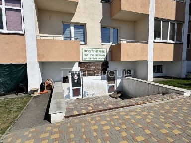 Київська область, Софіївська Борщагівка