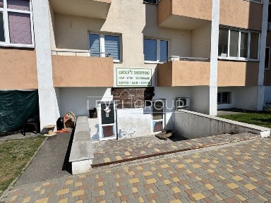 Київська область, Софіївська Борщагівка