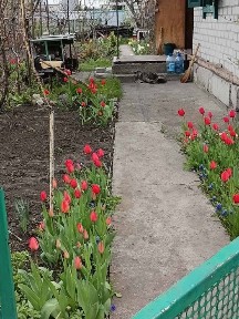 Полтавська область, Кременчук