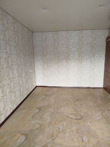 Полтавська область, Кременчук