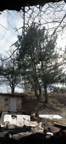 Кіровоградська область, Кропивницький, Подільський