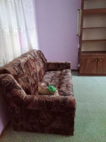Харківська область, Харків, Шевченківський