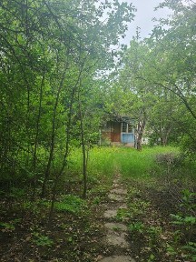 Дача Зміївський рн Права власності. (169226)