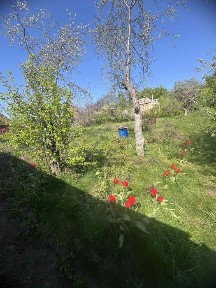 Полтавська область, Полтава