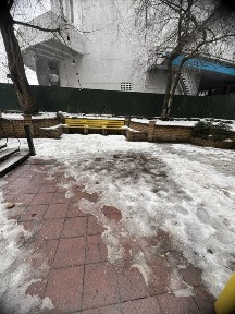 Київська область, Київ, Голосіївський