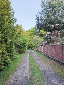Заміський будинок поруч лісу