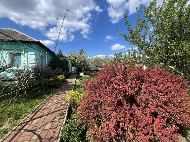 Просторий будинок с. Лозівок