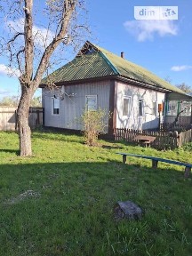 Продаж 1 поверхового будинку з гаражем і ділянкою на 25 соток, 58 кв. м, 2 кімнати, на вул. Центральна • ID 34235164