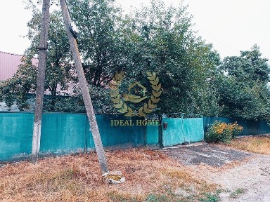 Київська область, Сидори