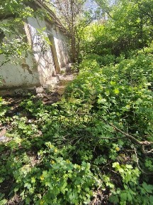 Продам дачний будинок в кіці городу річка