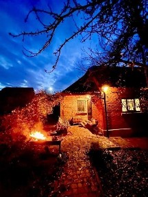 Київська область, Лісне