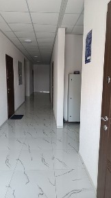 Рівненська область, Рівне