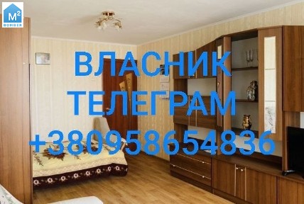Власник