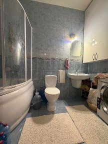 Дніпропетровська область, Дніпро, Центральний