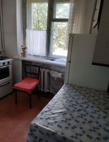 Продам 2 кв, 47 м., Северный, ул. Илларионовская 2-й эт. Днепр