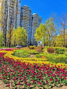 Київська область, Київ, Шевченківський