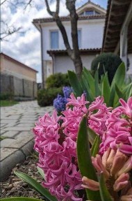 Одеська область, Одеса, Київський