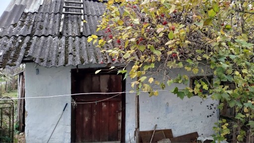 Будинок з присадибною ділянкою