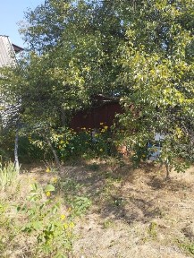 Дніпропетровська область, Новоселівка