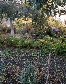 Дніпропетровська область, Дніпро, Чечелівський