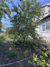 Запорізька область, Запоріжжя, Дніпровський
